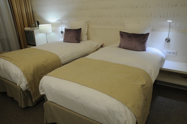 布达佩斯马拉松，在多瑙河畔奔跑