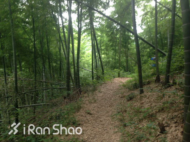 适度越野—九龙湖越野赛30公里线路报告