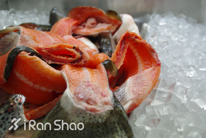 手指着大海的方向—黄金海岸的水上运动