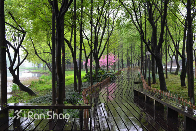 2014杭州马拉松参赛指南