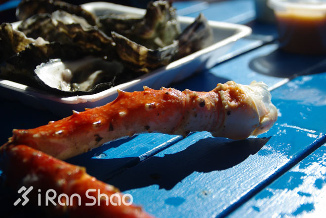 手指着大海的方向—黄金海岸的水上运动