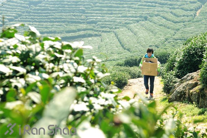 最炫越野风—让我用山把你留下来