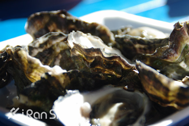 手指着大海的方向—黄金海岸的水上运动