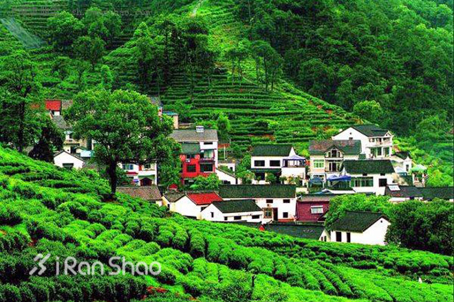 2014杭州马拉松参赛指南