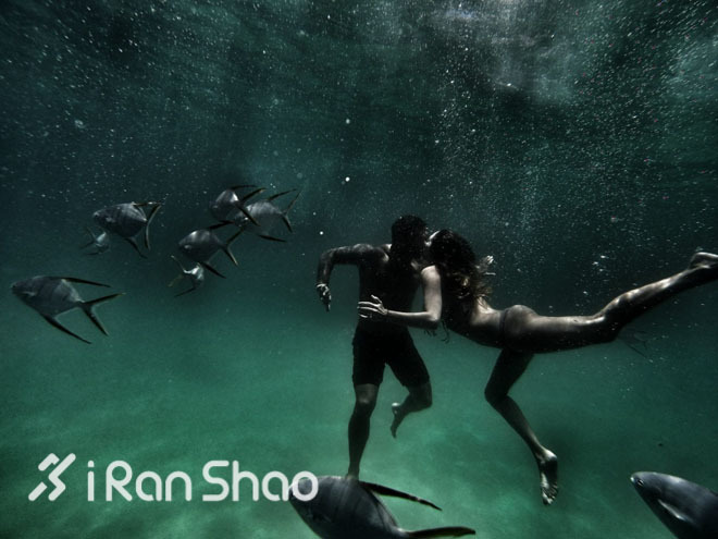 “狗眼”看世界—2014最佳Gopro作品