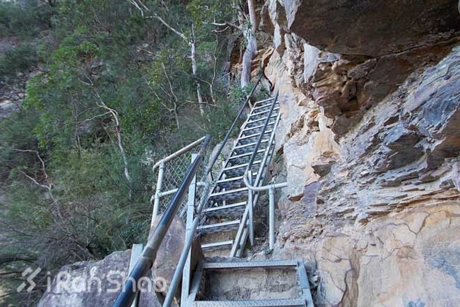 南半球的TNF — TNF 100 Australia 介绍