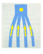 肌内贴不再神秘，贴出你的运动健康（上）