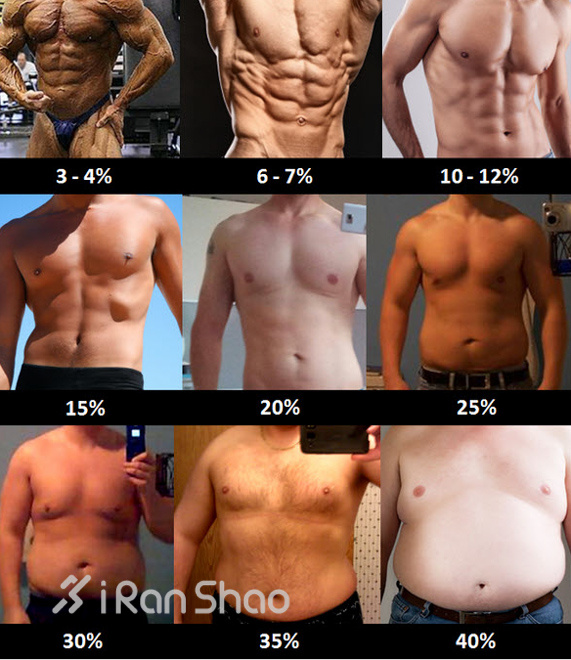 肥胖的标准—谁是脂肪重度携带者？