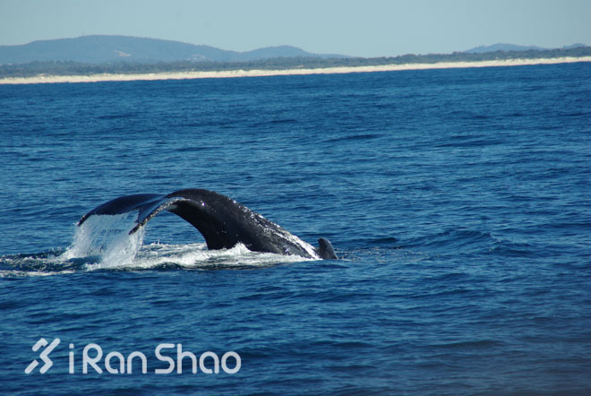 手指着大海的方向—黄金海岸的水上运动