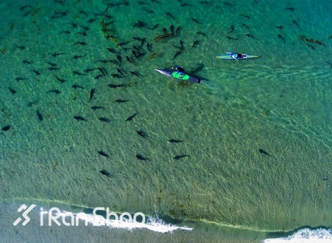 “狗眼”看世界—2014最佳Gopro作品