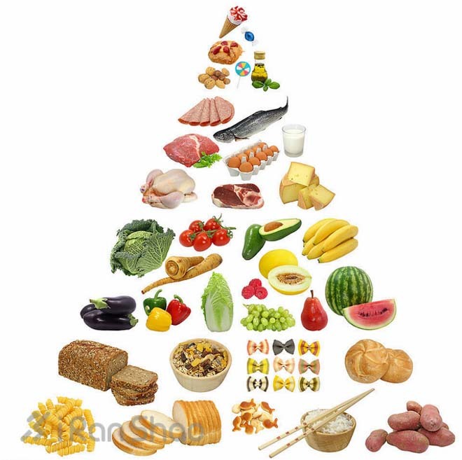 想减肥？只跑步远远不够