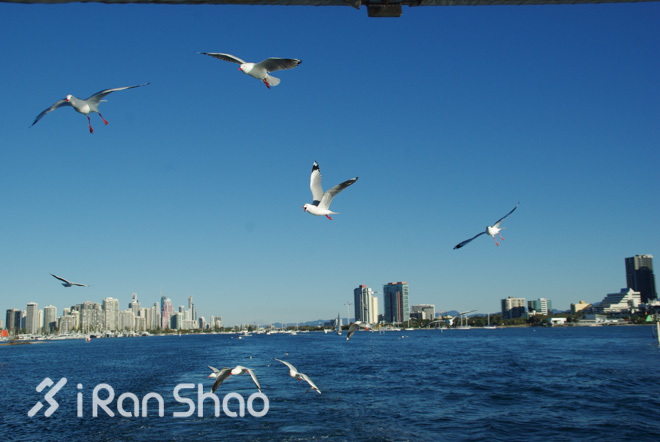 手指着大海的方向—黄金海岸的水上运动