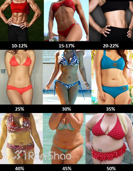 肥胖的标准—谁是脂肪重度携带者？