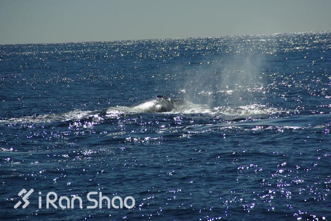 手指着大海的方向—黄金海岸的水上运动