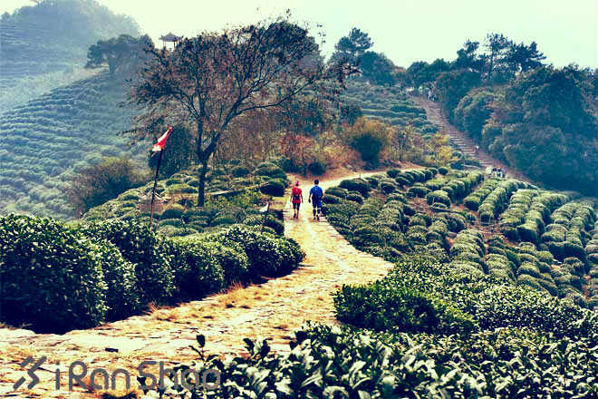 最炫越野风—让我用山把你留下来