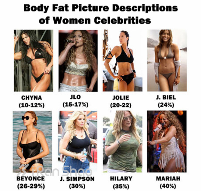 肥胖的标准—谁是脂肪重度携带者？