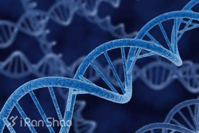 想要跑出好成绩？请先好好睡一觉