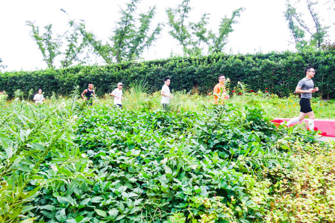 蜗牛的快乐奔跑—欢乐跑中国上海站约跑训练营第1期活动传真