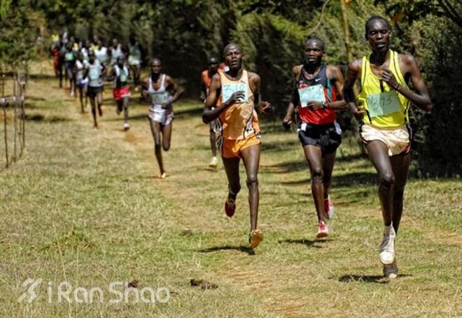 新手 | 在哪跑步不伤腿？— 跑步场地全介绍