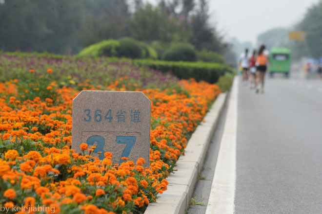 连跑带拍 — 记首届秦皇岛马拉松