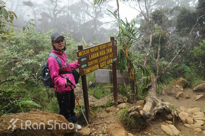 访越野赛道 登马来之巅