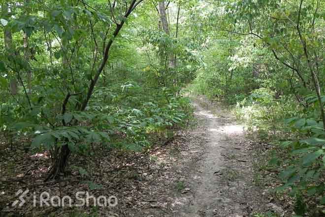 新手 | 在哪跑步不伤腿？— 跑步场地全介绍