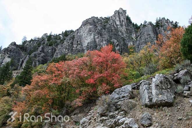 追逐大熊的足迹，The Bear 100 越野赛