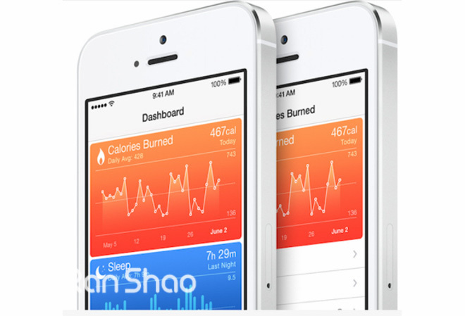 智能可穿戴，苹果说：一个就够了！