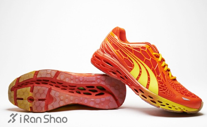 蜂巢来袭—仿生学与跑鞋科技