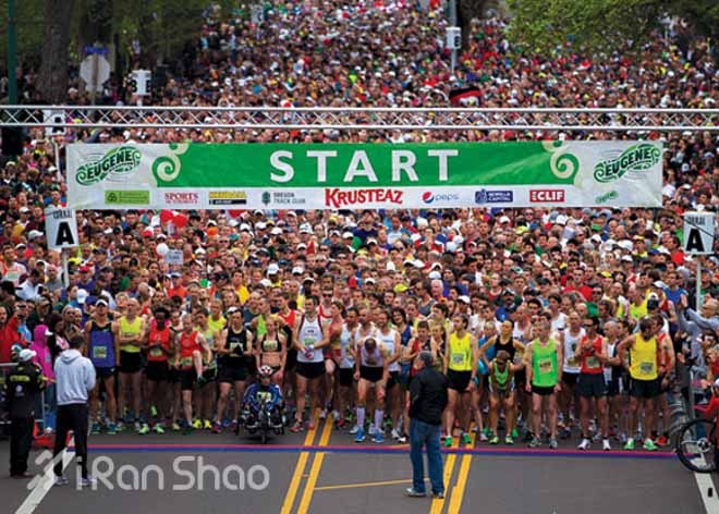 1/4的选手都BQ—历数最出成绩的5场马拉松