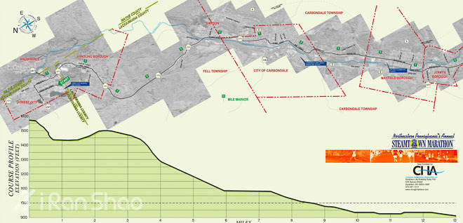 1/4的选手都BQ—历数最出成绩的5场马拉松