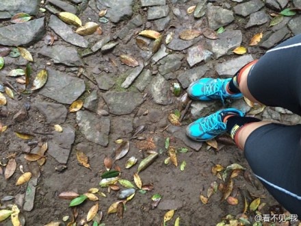 野蛮生长——2014年威斯杯杭州西湖跑山赛小记