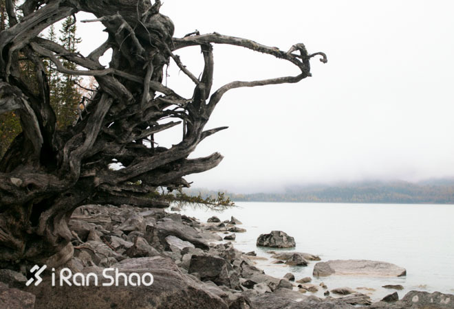 ​从十三天荒野求生论运动内衣对户外运动的重要性