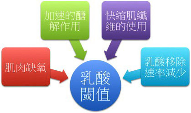 迈过了乳酸门槛，整个世界都变了