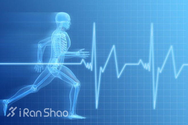 怎么用好心率表？心率训练全解析（二）——从“心率区间”谈起