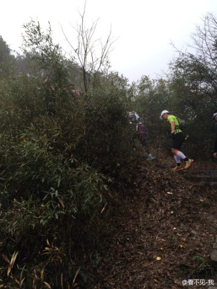 野蛮生长——2014年威斯杯杭州西湖跑山赛小记