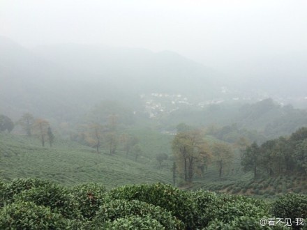 野蛮生长——2014年威斯杯杭州西湖跑山赛小记