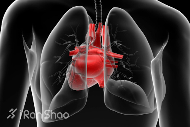知识 | 跑完累得上气不接下气？真不是肺活量的问题
