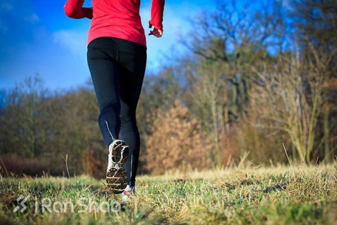 跑快跑慢怎么算？心率训练全解析（一）——“小马过河”的跑步强度