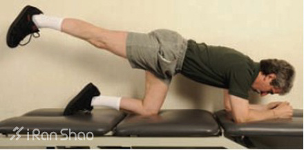 经验 | 你真的知道怎么锻炼臀肌么？