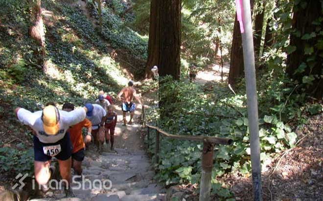 爱越野？这六场小而美的比赛不可错过