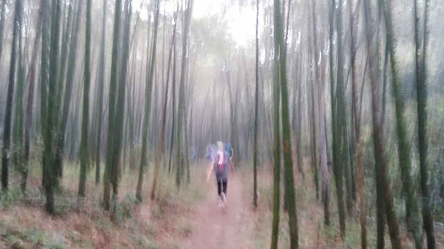 ​工匠之心，山野之路