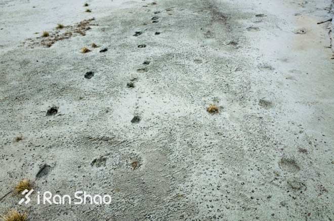 ​从十三天荒野求生论运动内衣对户外运动的重要性