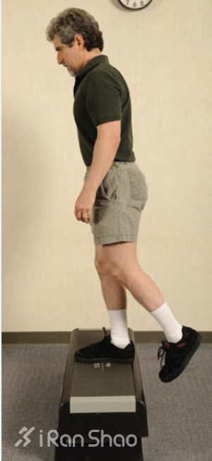 经验 | 你真的知道怎么锻炼臀肌么？