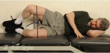 经验 | 你真的知道怎么锻炼臀肌么？