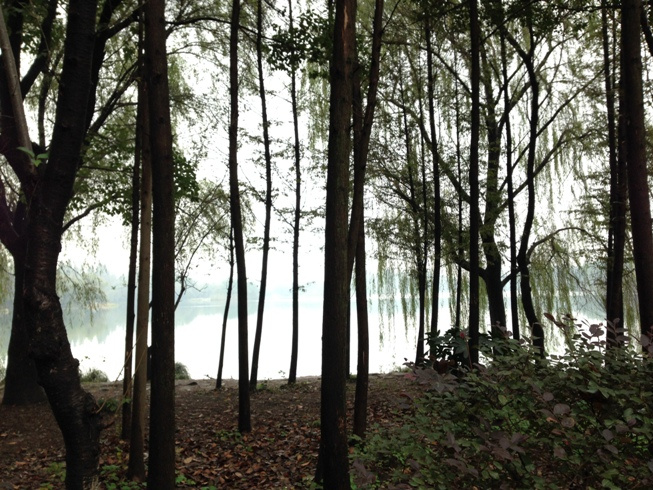 最重要的是站在起跑线上——记第一次威斯西湖跑山