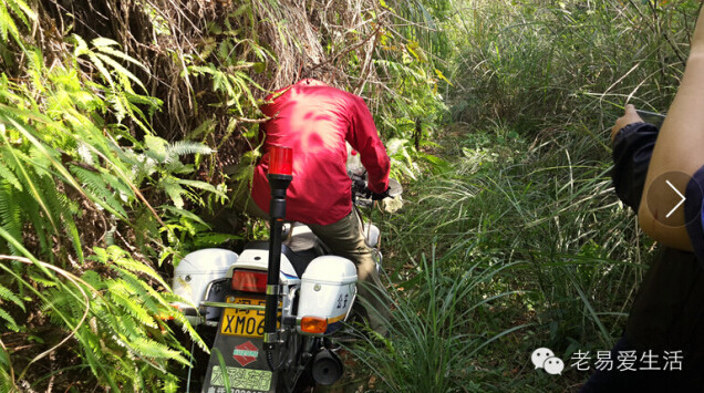 一个赛事总监的成长