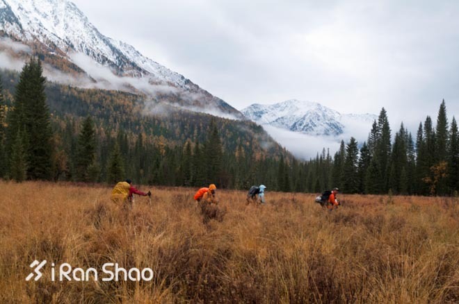 ​从十三天荒野求生论运动内衣对户外运动的重要性