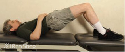 经验 | 你真的知道怎么锻炼臀肌么？