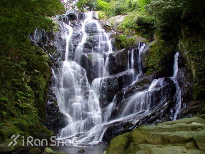 2014年，我们迎来了第一届和第六十八届福冈马拉松